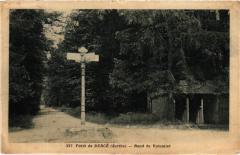 Foret de Berce - Rond du Volumier France