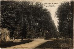 Foret de Berce - Rond du Buisson France -
													72 Sarthe
												