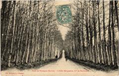 Foret de Perseigne - Allee Marguerite France -
													72 Sarthe
												