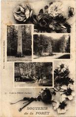 Souvenir de la Foret - Foret de Berce France
