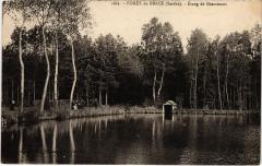 Foret de Berce - Etang de Grammont France -
													72 Sarthe
												