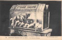 Les Saintes Maries - Les Saintes Chasses