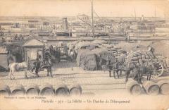Marseille - La Joliette - Un Chantier De Debarquement - Attelage à Marseille