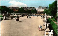 Paris (1e) - Jardin des Tuleries à Paris 1er