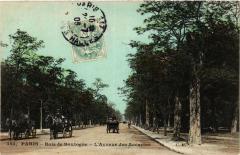 Carte postale ancienne Bois de Boulogne - L'Avenue des Accacias
                                                                     à Paris 16e
                                