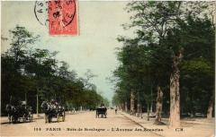 Bois de Boulogne - L'Avenue des Accacias à Paris 16e