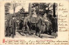 Carte postale ancienne Le Jardin d'Acclimatation - La Promenade sur le Chameau
                                                                     à Neuilly-sur-Seine
                                