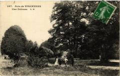Paris 12e-Bois de Vincennes-Un Pelouse à Paris 12e