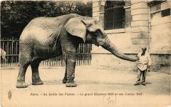 Paris (5e) - Jardin des Plantes Le Grand Elephant Saib et Neff -
																					75005 Paris 5e
																			