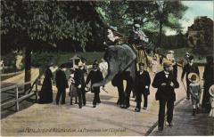 Jardin d'Acclimatation - La Promenade sur l'Eléphant à Neuilly-sur-Seine