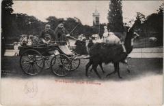 Carte postale ancienne La Voiture aux Lamas - Jardin Zoologique d'Acclimatation de Paris
                                                                     à Neuilly-sur-Seine
                                