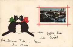 Paris 4e Panorama black cats