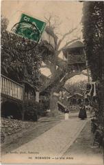 Robinson - Le Vrai Arbre