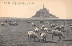 Le Mont Saint Michel - Les Pres Sales au Mont-Saint-Michel