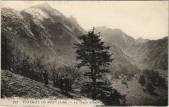 Le Mont-Dore Environs - Les Gorges d'Enfer -
																					63240 Mont-Dore
																			