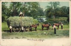 Mont Dore à Mont-Dore