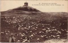 Troupeaux aux Patureages au Sommet du Puy de Dome