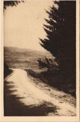 En Descendant de la Platelle - Monts du Forez