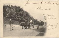 Un Attelage Auvergnat