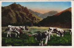 Vallee d'Enfer au Pied du Sancy