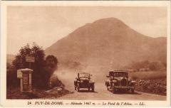 Puy de Dome - Le Fond de l'Arbre