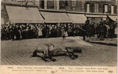 1914 2 Tubens ont survolé Paris (8e) Cheval tué à Paris 8e