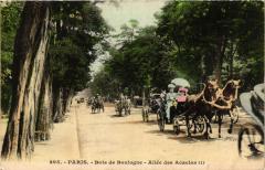 Bois de Boulogne - Allée des Acacias à Paris 16e