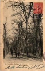 Carte postale ancienne Le Bois de Boulogne en Automne - Avenue des Acacias - Allée Cavalière
                                                                     à Paris 16e
                                