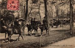 Carte postale ancienne Bois de Boulogne - Allée des Acacias
                                                                     à Paris 16e
                                