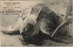 C. Chartier Paris 21, Rue du Pont-Neuf Tortue Géant
