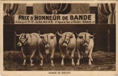 Bande de Boeufs à Paris 19e