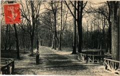 Carte postale ancienne Bois de Boulogne - Etude en automne
                                                                     à Paris 16e
                                
