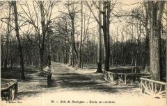 Bois de Boulogne - Etude en automne à Paris 16e