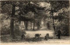 Clamart - Dans le Bois à Clamart