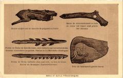 Paris 3e Paris-Armes et Outils Préhistoriques -
																					75003 Paris 3e
																			