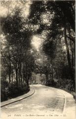 Carte postale ancienne Les Buttes-Chaumont - Une Allée
                                                                     à Paris 19e
                                