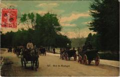 Carte postale ancienne Bois de Boulogne
                                                                     à Paris
                                