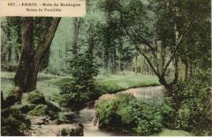 Bois de Boulogne - Sous la Feuillée à Paris 16e