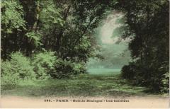 Bois de Boulogne - Une Clairière à Paris 16e