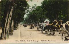 Carte postale ancienne Bois de Boulogne - Allée des Acacias
                                                                     à Paris 16e
                                