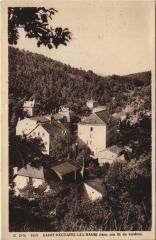 Saint-Nectaire dans son lit de Verdure - Vue Generale à Saint-Nectaire