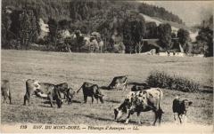 Le Mont-Dore Environs - Paturages d'Auvergne à Mont-Dore