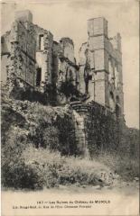 Murols Les Ruines du Chateau de Murols à Murol