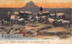 Le Mont Saint Michel - Les Pres Sales Des Greves au Mont-Saint-Michel