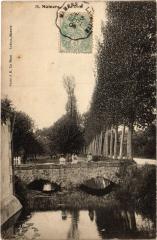 Mamers la Dive à Mamers