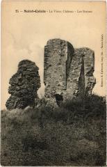 St Calais Ruines du vieux chateau -
													72 Sarthe
												