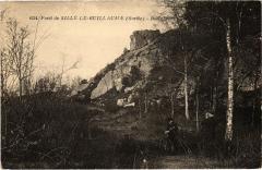 Foret de Sille Guillaume Rochebrune