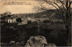 St Leonard des Bois vue generale