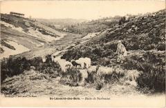 St Leonard des Bois Butte de Narbonne -
													72 Sarthe
												