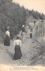 Allevard Les Bains - La Montee De Brame Farine à Allevard